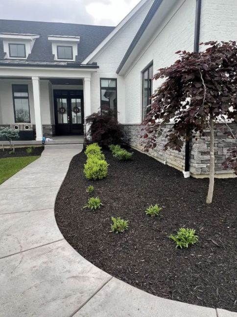 Ridgeline Landscaping project photo 1